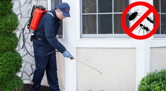 Ağlasun Bit İlaçlama böcek ilaçlama ve haşere kontrolü — ilaclama-tr.com